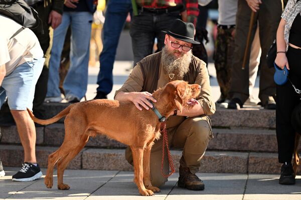 Без собаки просто не было бы охоты, она как навигация охотника, поделились участники фестиваля. - Sputnik Литва