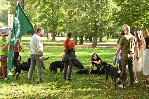 На мероприятии можно было встретить единственную охотничью породу, выведенную в Литве – литовских гончих. - Sputnik Литва