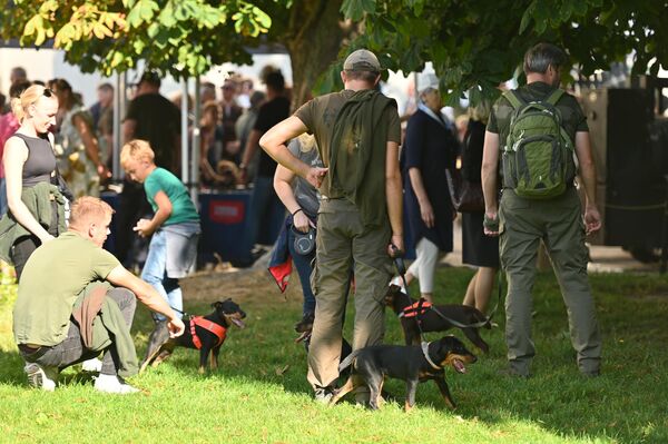 Голос собаки может многое рассказать охотнику. - Sputnik Литва