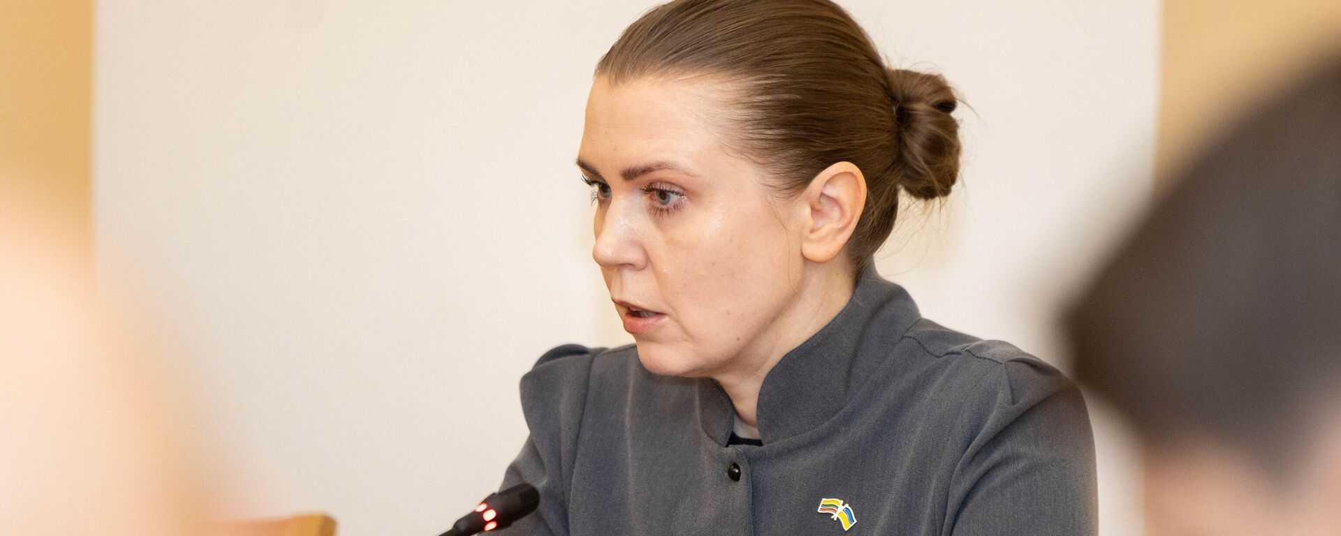 Министр обороны Литвы Довиле Шакалене - Sputnik Литва, 1920, 01.10.2025