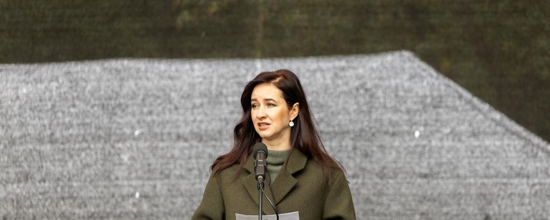 Премьер-министр Литвы Инга Ругинене - Sputnik Литва, 1920, 09.02.2026