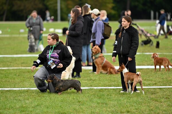 Организатором праздника выступило Сообщество кинологов Литвы. - Sputnik Литва