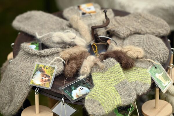 На фото: продукция из собачьей шерсти, представленная на празднике, посвященном Всемирному дню защиты животных, в Вильнюсе. - Sputnik Литва