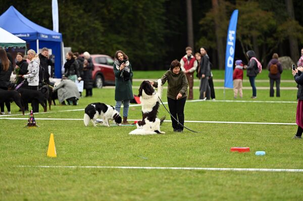 Для участников конкурсов и соревнований организаторы приготовили подарки и призы. - Sputnik Литва