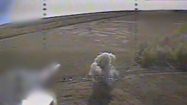 Уничтожение боевой техники ВСУ под Красноармейском - Sputnik Литва