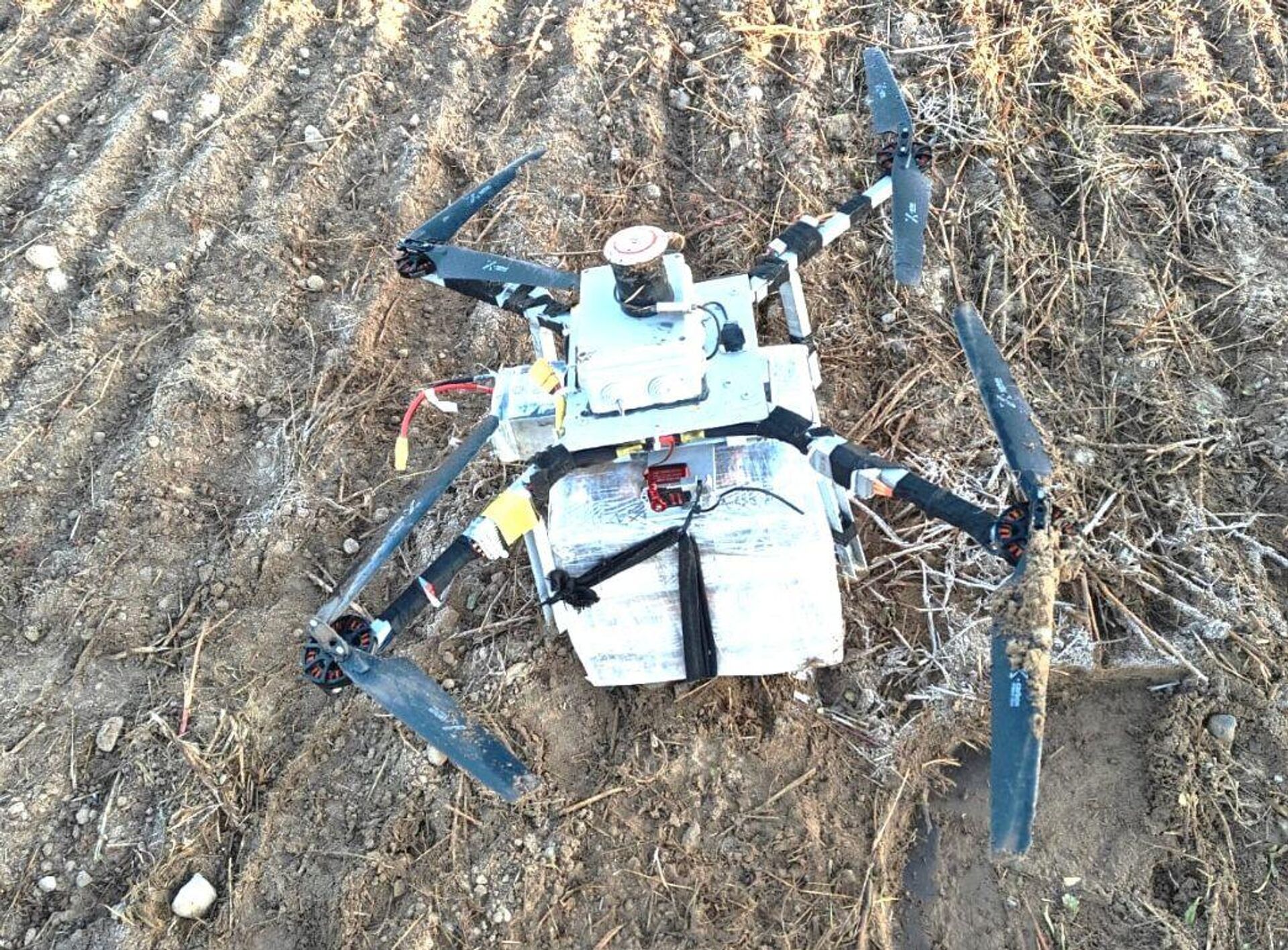 Литовские пограничники перехватили дрон с контрабандными сигаретами из Белоруссии - Sputnik Литва, 1920, 11.10.2025