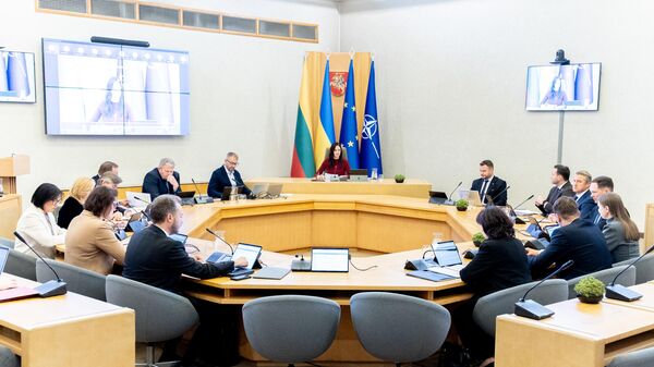 Заседание правительства Литвы - Sputnik Литва
