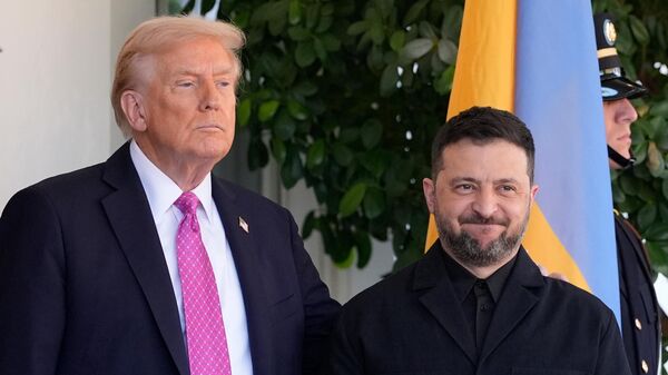 Президент США Дональд Трамп и Владимир Зеленский - Sputnik Литва