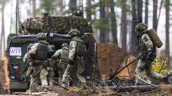Военнослужащие армии Литвы, архивное фото - Sputnik Литва