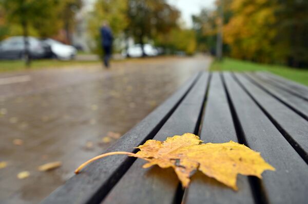 Самая низкая температура воздуха была зафиксирована 20 октября в Молетай, Утене и Варене и составила 6,5 градуса мороза. Самая высокая — 11 октября в Скуодасе и составила 17,6 градусов тепла. - Sputnik Литва