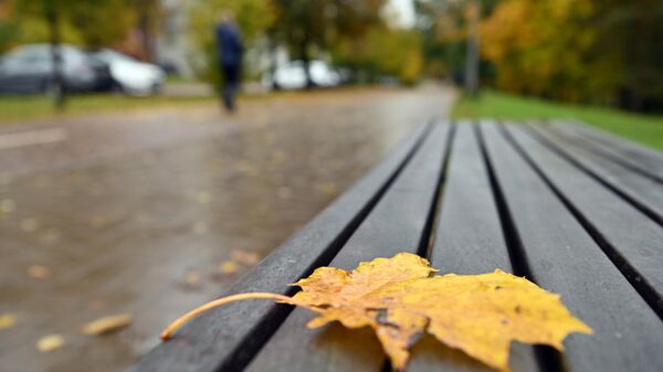 Вид Вильнюса - Sputnik Литва