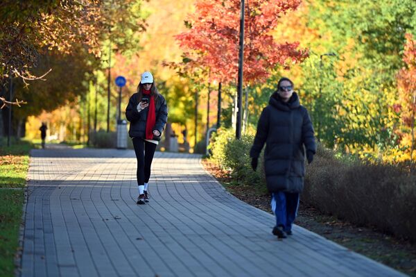 В октябре с деревьев начали опадать желтые листья и Вильнюс окрасился золотыми красками осени. - Sputnik Литва