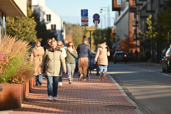 В конце октября золотая осень подошла к концу. Некоторые деревья уже без листьев, а другие стремительно их сбрасывают. - Sputnik Литва