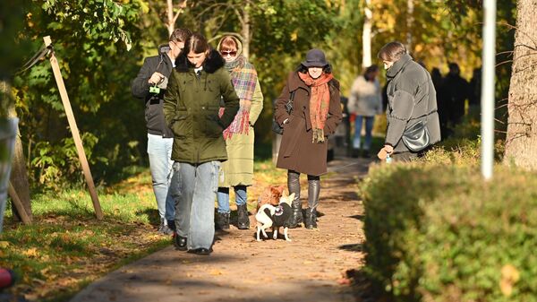 Вид Вильнюса - Sputnik Литва