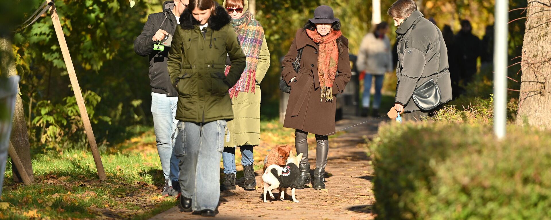 Вид Вильнюса - Sputnik Литва, 1920, 17.11.2025