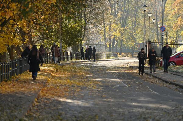 Во вторую декаду октября в Литве среднее количество солнечных дней составило 37,3 часа (104 процента от средней климатической нормы): от 25,5 часов в Утене до 52,6 часов в Шилуте. - Sputnik Литва
