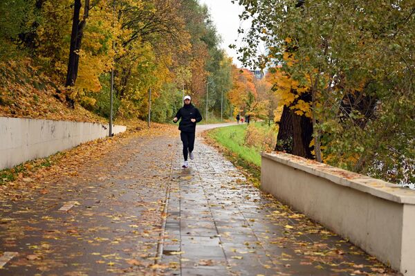 По словам синоптиков, период более сухой и прохладной погоды прошел. Ближайшие ночи и дни будут более теплыми, но и более влажными. - Sputnik Литва