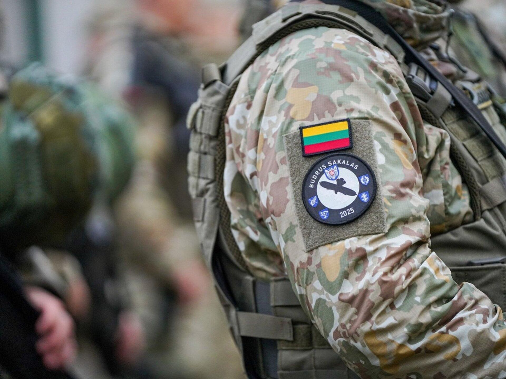 Учения ВВС Литвы Бдительный сокол – 2025 (Budrus sakalas 2025) Учения ВВС Литвы Бдительный сокол – 2025 (Budrus sakalas 2025) - Sputnik Литва, 1920, 24.10.2025