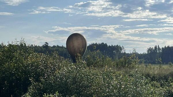 Метеозонд с контрабандой сигарет - Sputnik Литва