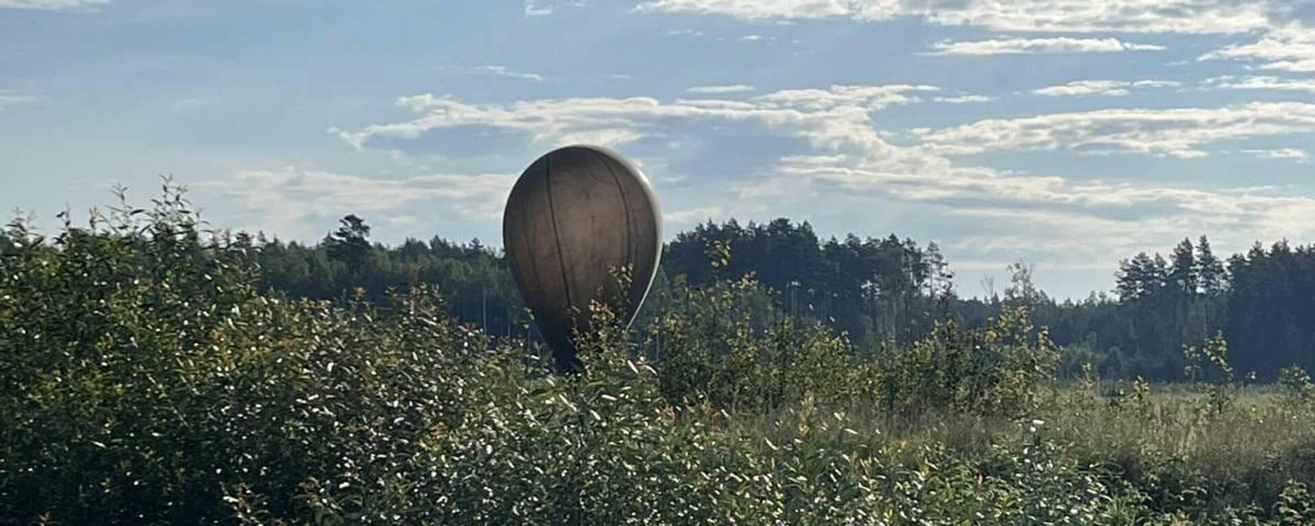 Метеозонд с контрабандой сигарет - Sputnik Литва, 1920, 10.11.2025