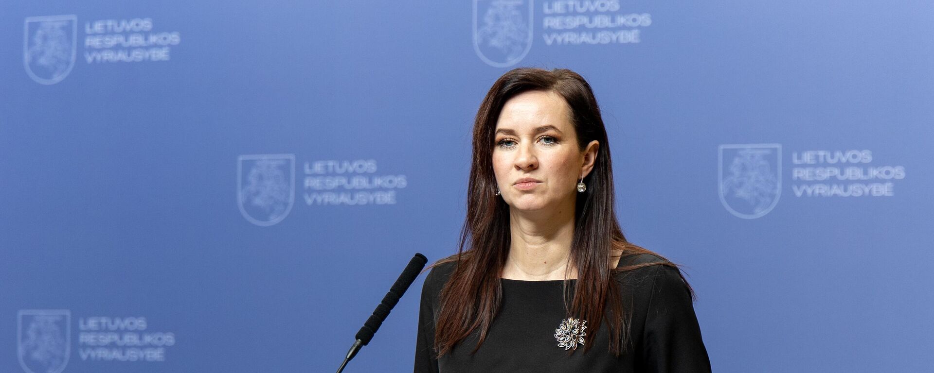 Премьер-министр Литвы Инга Ругинене - Sputnik Литва, 1920, 27.01.2026