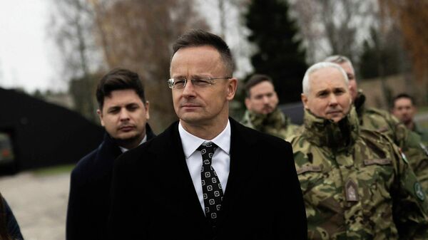 Министр иностранных дел и внешнеэкономических связей Венгрии Петер Сийярто, архивное фото - Sputnik Литва