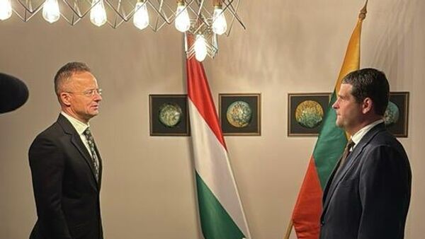 Глава МИД Венгрии Петер Сийярто и лидер партии Заря Нямунаса Ремигиюс Жемайтайтис - Sputnik Литва