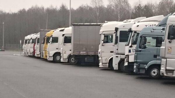 Фуры на белорусско-литовской границе, архивное фото - Sputnik Литва