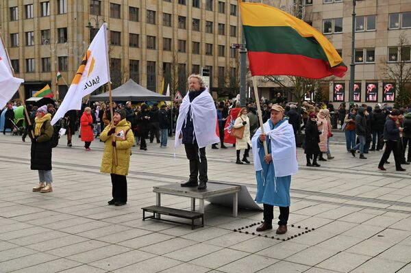 На фото: участники акции протеста стоят с флагами и атрибутикой культурного протеста перед зданием правительства. - Sputnik Литва