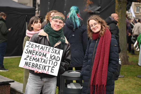 В конечном итоге министерство перешло в руки социал-демократов. В начале ноября, после более чем месяца без министра культуры, на эту должность была назначена Вайда Алекнавичене. - Sputnik Литва