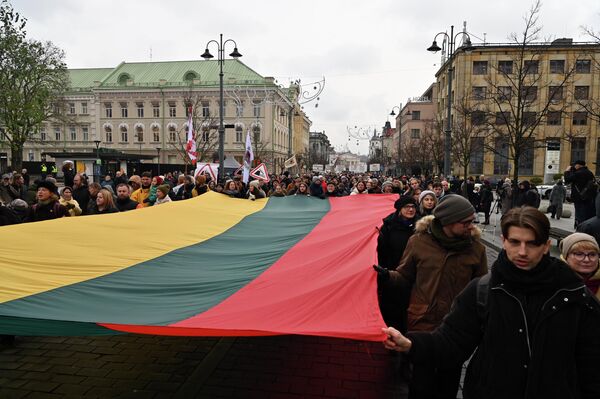 Митинг прошел под лозунгом: &quot;Какую страну мы хотим?&quot; - Sputnik Литва