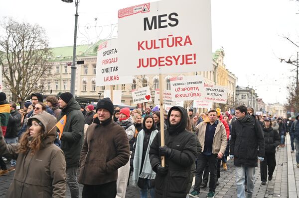 В пятницу, 21 ноября, в столице Литвы прошел митинг деятелей культуры. - Sputnik Литва