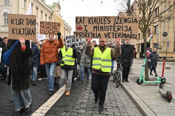 На фото: участники акции протеста держат плакаты с надписями: &quot;Где твоя культура?&quot;, &quot;Не врачей не хватает, а логики&quot;, &quot;Когда свиньи входят в министерство, тогда нужны ветеринары&quot;. - Sputnik Литва