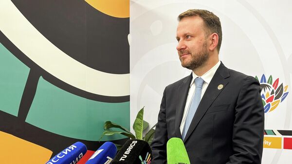 Заместитель руководителя администрации президента РФ Максим Орешкин на саммите G20 в ЮАР - Sputnik Литва