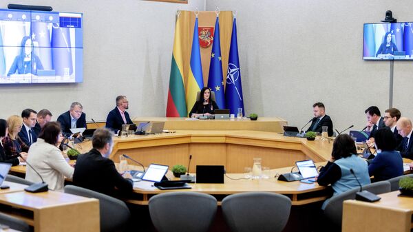 Заседание правительства Литвы - Sputnik Литва