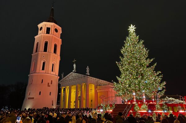 Третий год подряд жителей и гостей города будет радовать живая ель. Дерево высотой 16 метров городу подарили фермеры. - Sputnik Литва