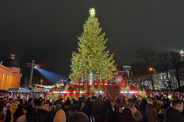 Для украшения рождественской елки ​​использовано более 25 тысяч светодиодных лампочек, а длина гирлянд достигает шести километров. Особое очарование натуральной ёлке придает ее почти двухметровая сияющая верхушка. - Sputnik Литва