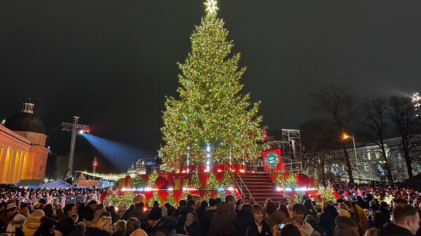 
Праздник зажжения главной елки Литвы в Вильнюсе - 2025
 - Sputnik Литва