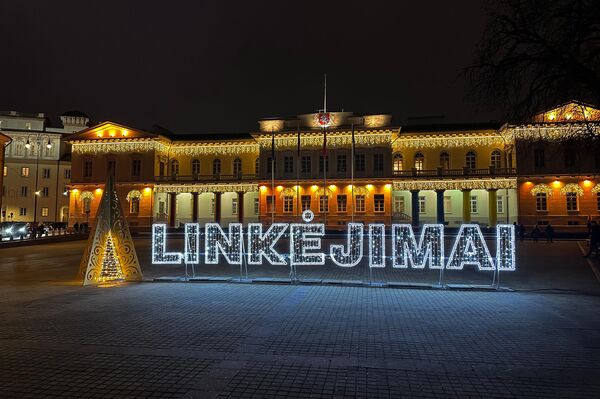 На фото: Президентский дворец украшен и приглашает сфотографироваться всех желающих. - Sputnik Литва