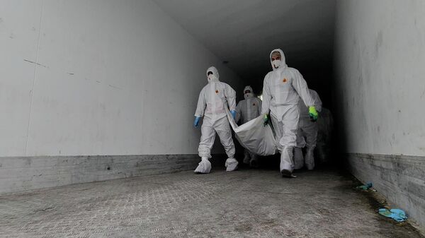 Передача тел 1000 погибших украинских военных в рамках стамбульских договоренностей - Sputnik Литва