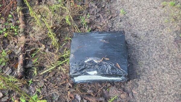 Плот с контрабандными сигаретами - Sputnik Литва