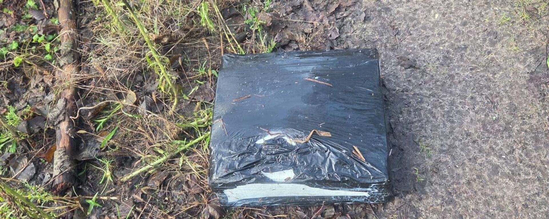 Плот с контрабандными сигаретами - Sputnik Литва, 1920, 27.12.2025