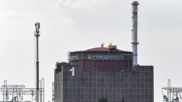 Запорожская АЭС в Энергодаре - Sputnik Литва