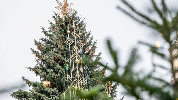 В Каунасе установили 17-метровую зеленую ель, украшенную в стиле ар-деко. - Sputnik Литва