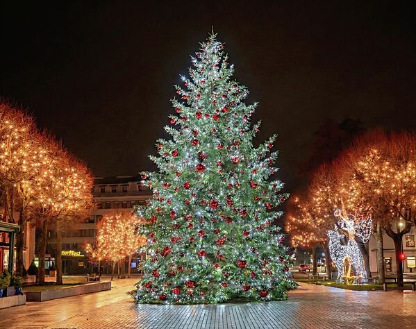 Главную площадь Алитуса украшает 30-метровая живая рождественская елка, сверкая красными игрушками и гирляндами. - Sputnik Литва
