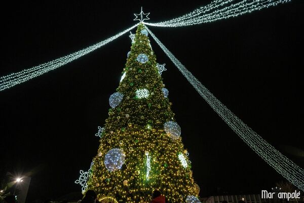 Рождественскую ель в Мариямполе украсили  сотни огней, а вокруг установили сверкающих лесных животных. - Sputnik Литва