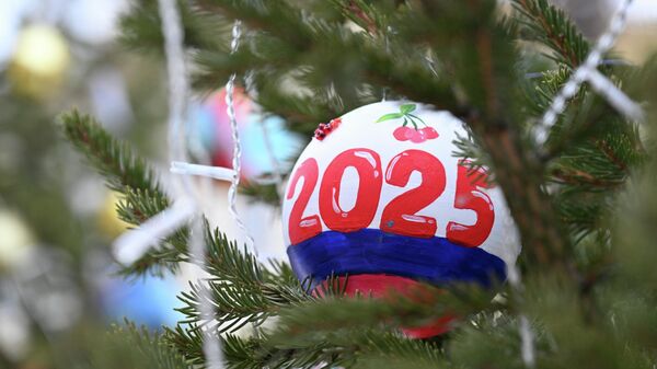 Новогоднее оформление в честь Нового 2025-го года - Sputnik Литва