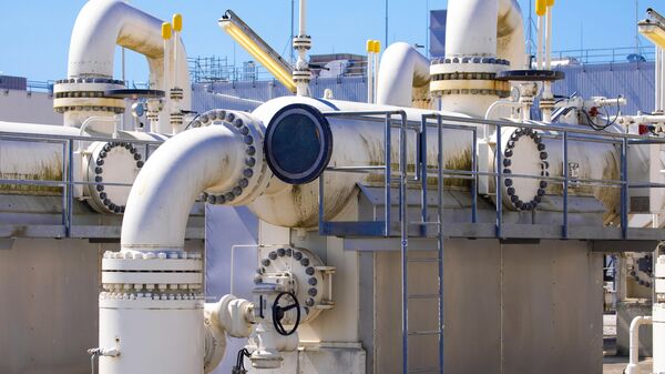 Центрально-европейский газовый хаб в Баумгартене, архивное фото - Sputnik Литва