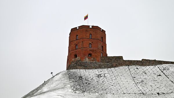 Башня Гедиминаса в Вильнюсе, архивное фото - Sputnik Литва