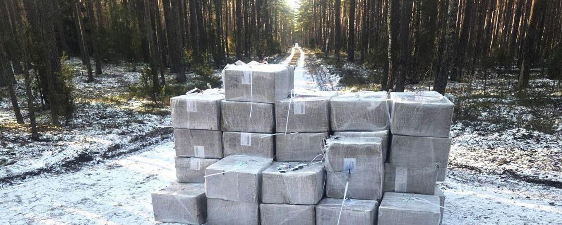 Контрабандные сигареты из Белоруссии в Капчяместисе, архивное фото - Sputnik Литва, 1920, 11.01.2026